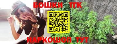 тгк Партизанск