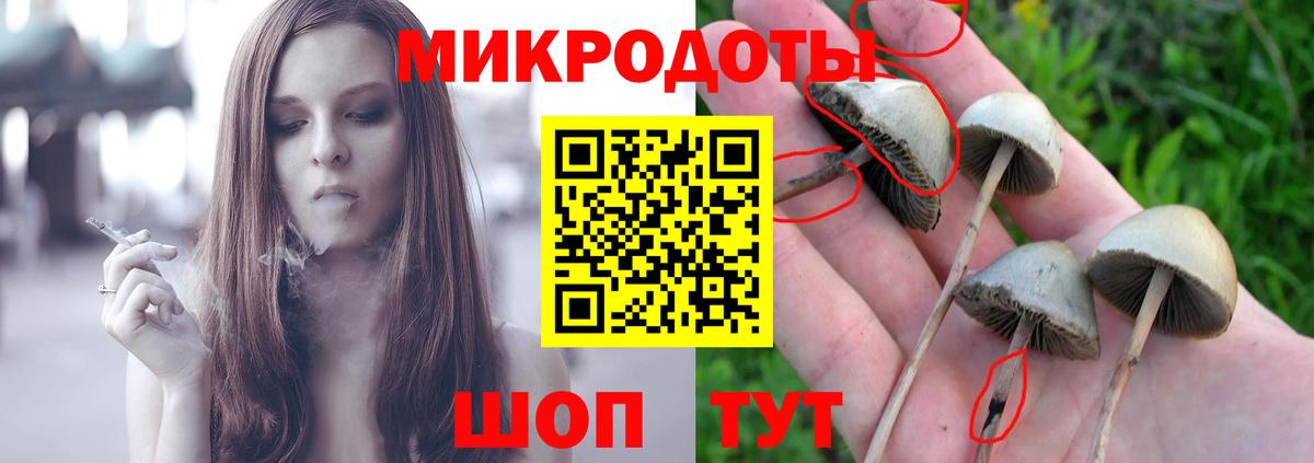 Галлюциногенные грибы мухоморы  сколько стоит  Соликамск  Вход с VPN 